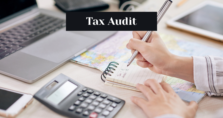 Tax Audit Services in Ahmedabad Form 3CD analysis